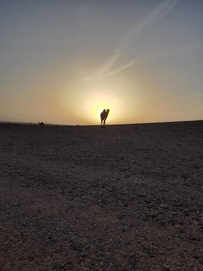 Hotel Zagora Desert Camp Bou Khellal Exterior foto