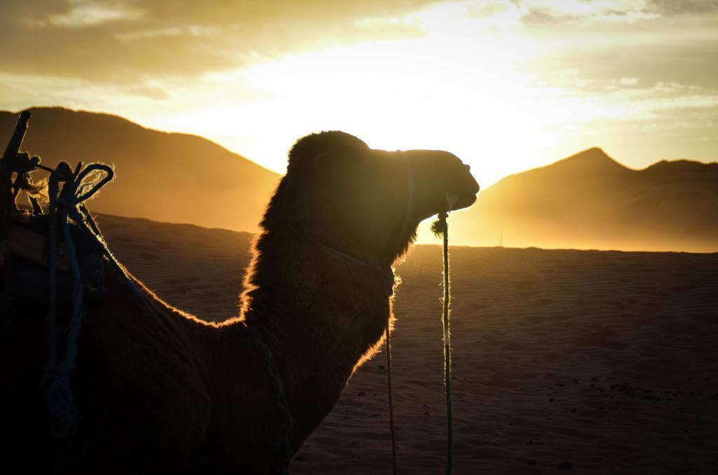 Hotel Zagora Desert Camp Bou Khellal Exterior foto